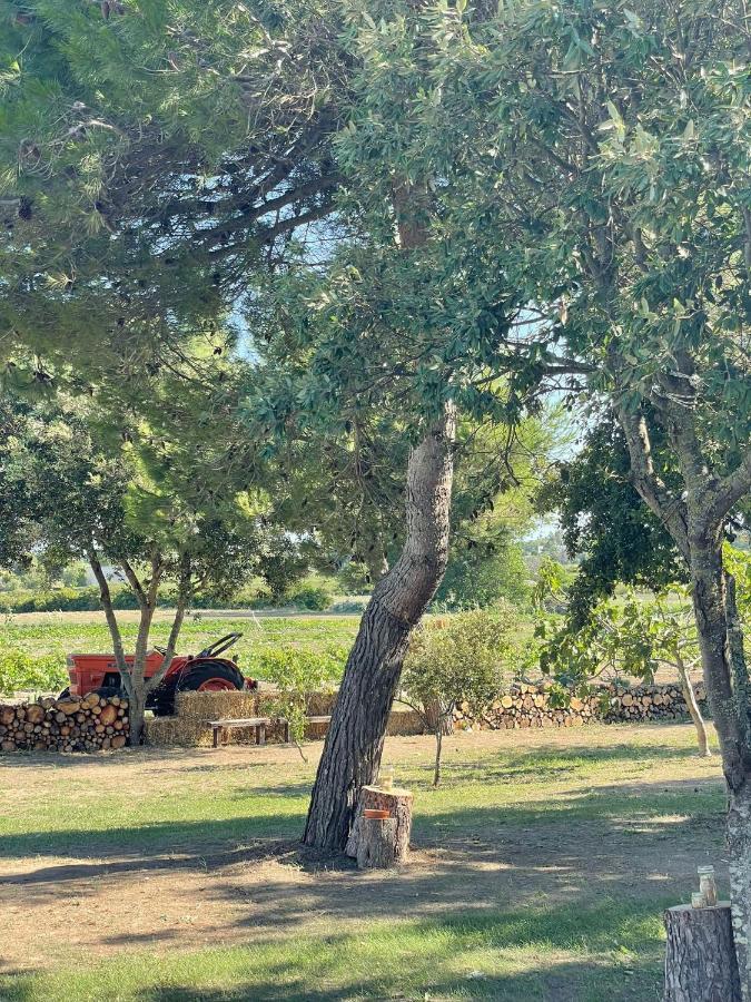Agriturismo Tenuta Pozzello Торре дель'Орсо Экстерьер фото